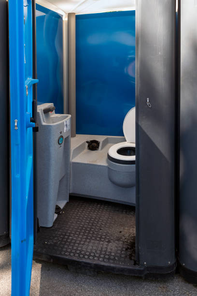 Best Sanitation services for porta potties  in South Holland, IL
