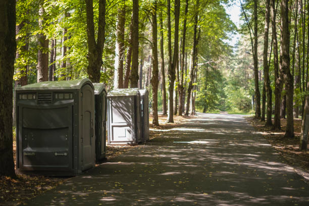Best Affordable porta potty rental  in South Holland, IL