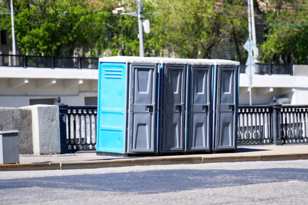 Best Affordable portable toilet rental  in South Holland, IL